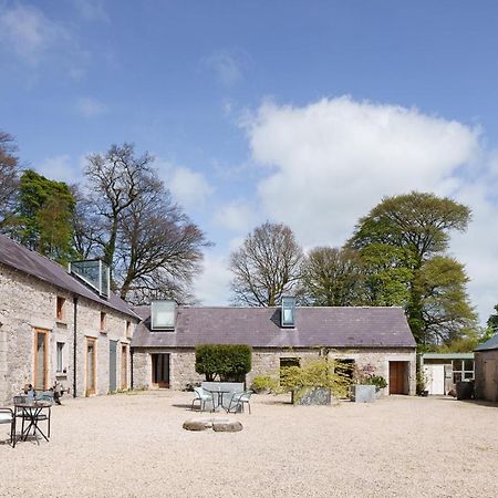 June Blake'S Garden Blessington Bagian luar foto