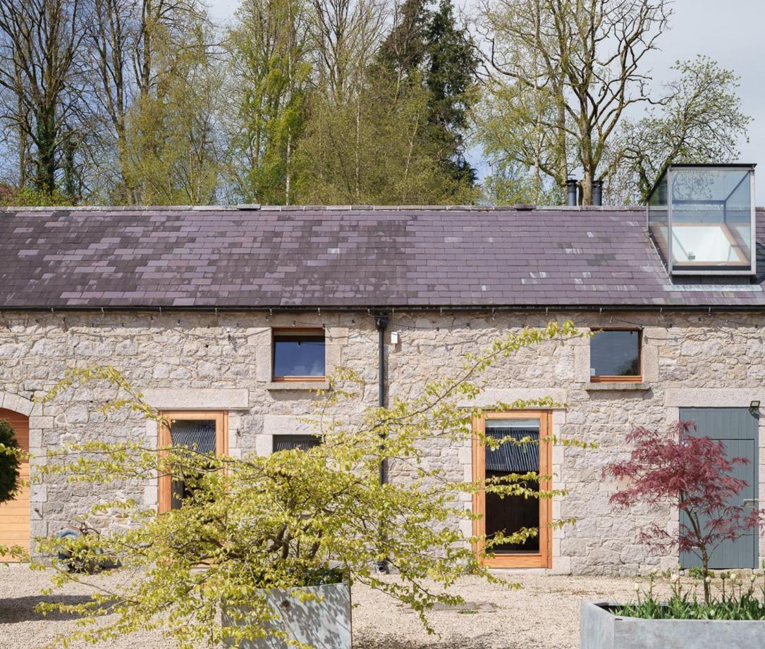 June Blake'S Garden Blessington Bagian luar foto