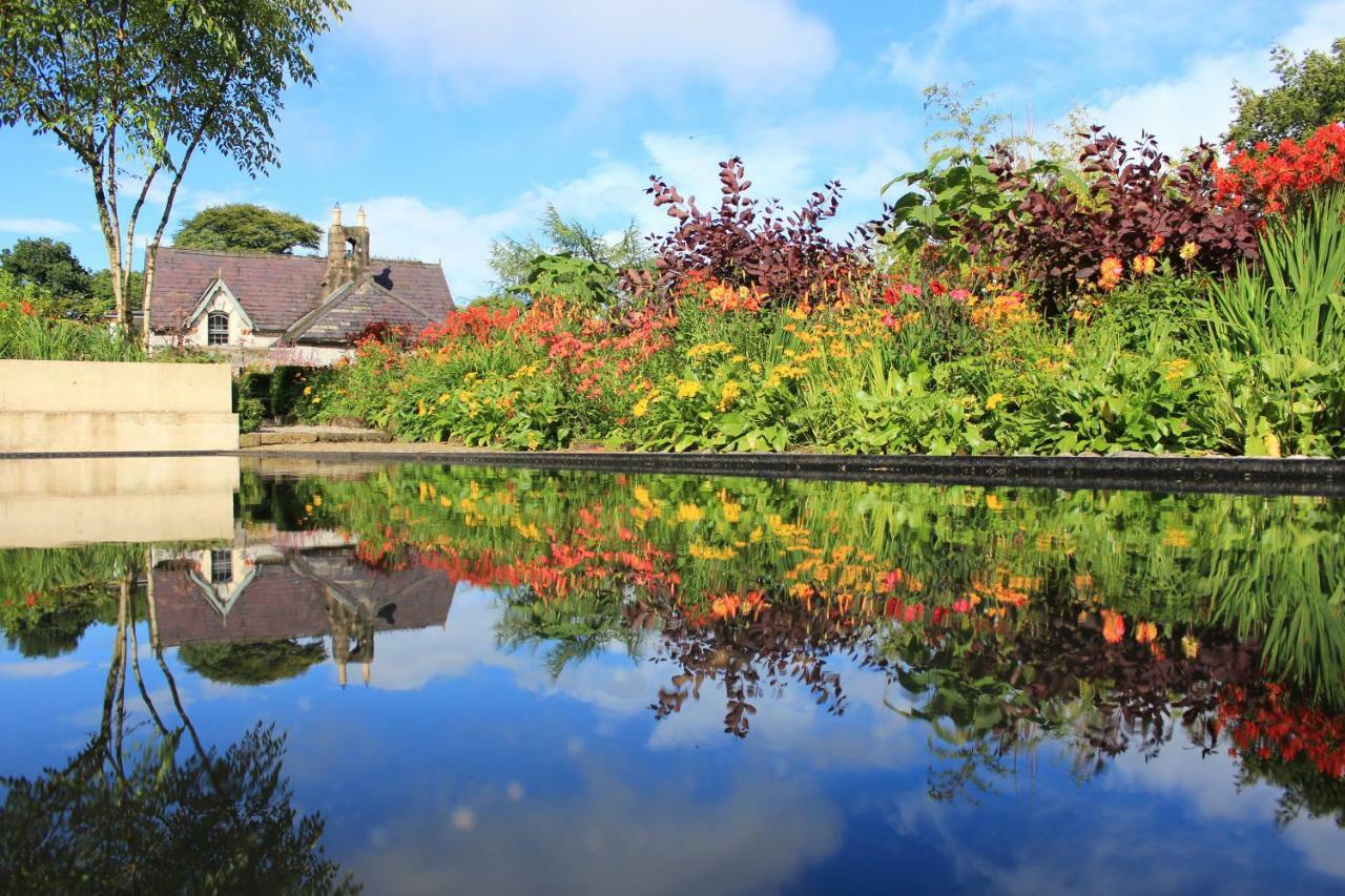 June Blake'S Garden Blessington Bagian luar foto