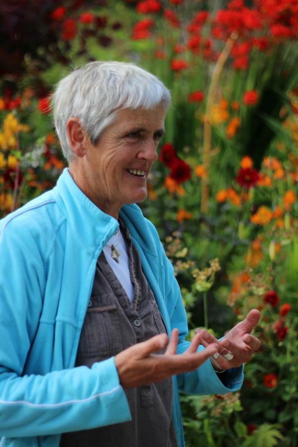 June Blake'S Garden Blessington Bagian luar foto